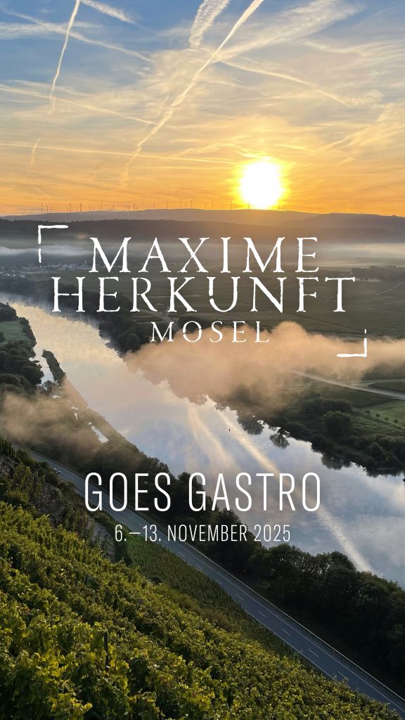 3 Maxime Herkunft Insta Post Story7 1